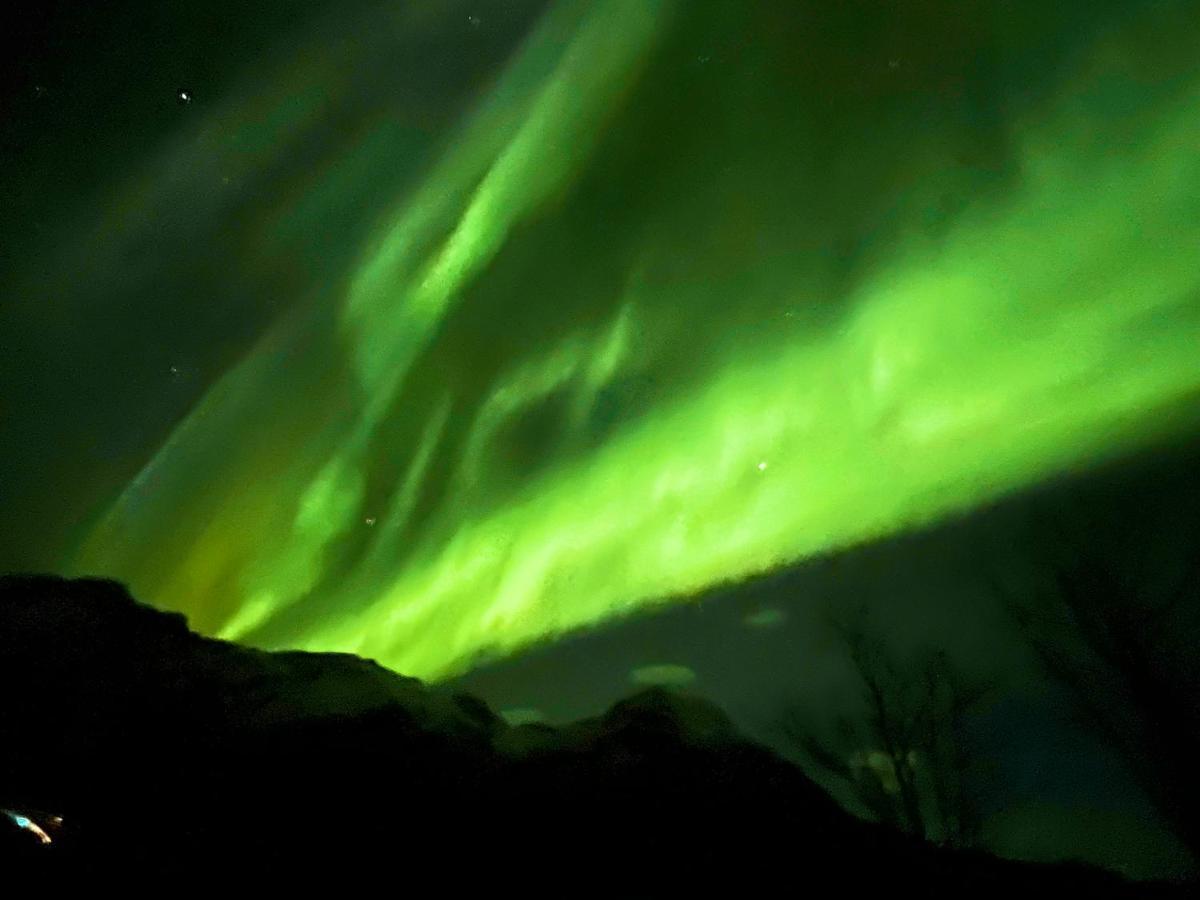 Lofoten Glampingdome Myrland Bagian luar foto