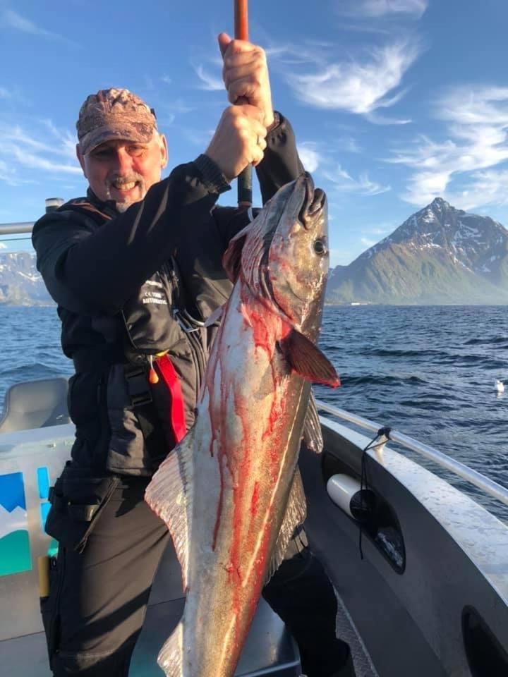 Lofoten Glampingdome Myrland Bagian luar foto