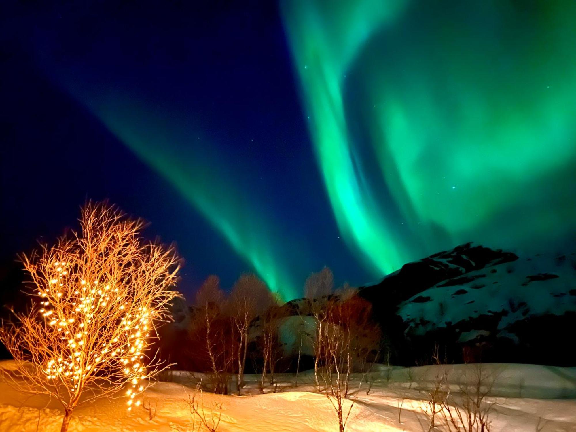 Lofoten Glampingdome Myrland Bagian luar foto