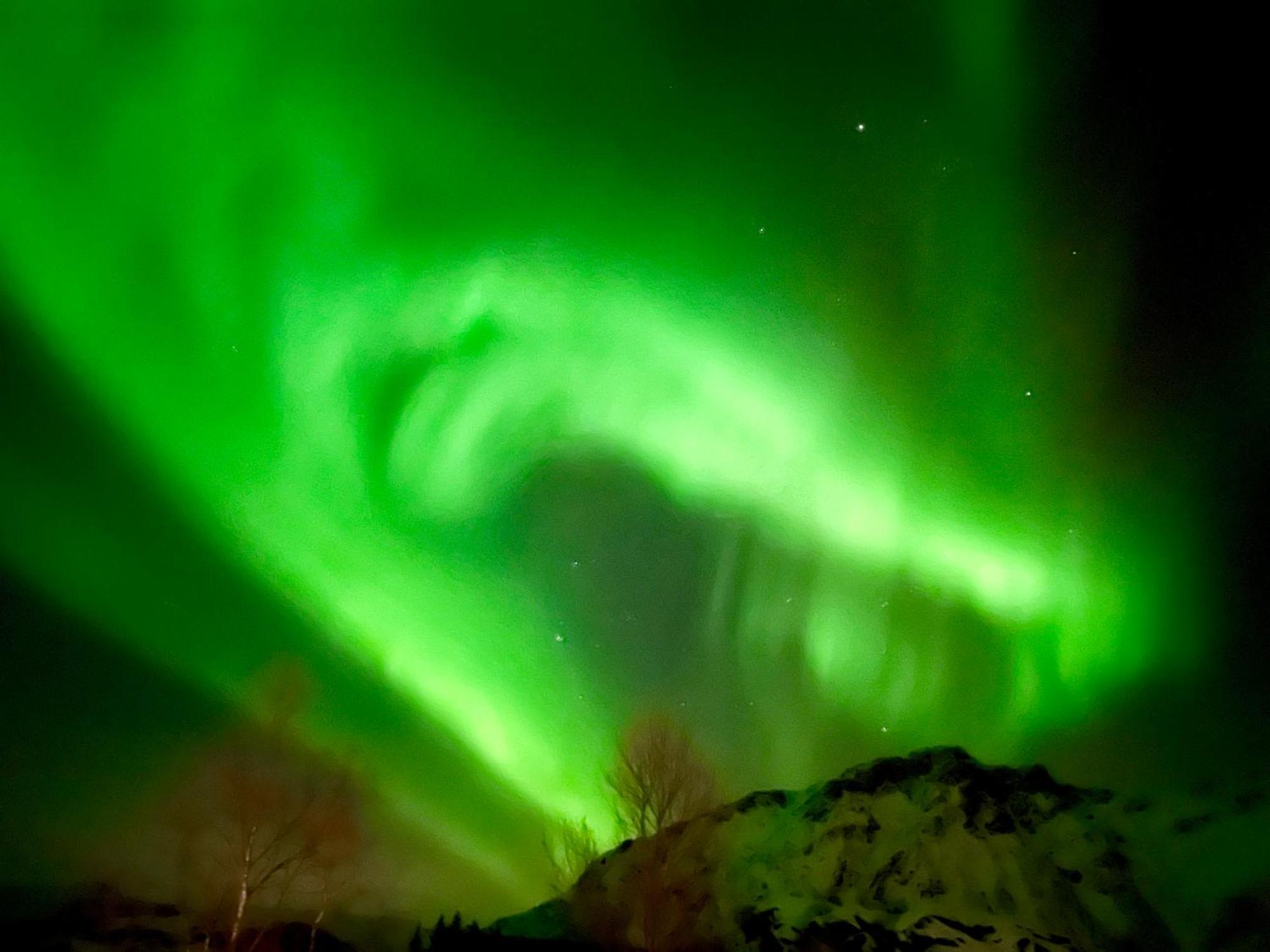 Lofoten Glampingdome Myrland Bagian luar foto