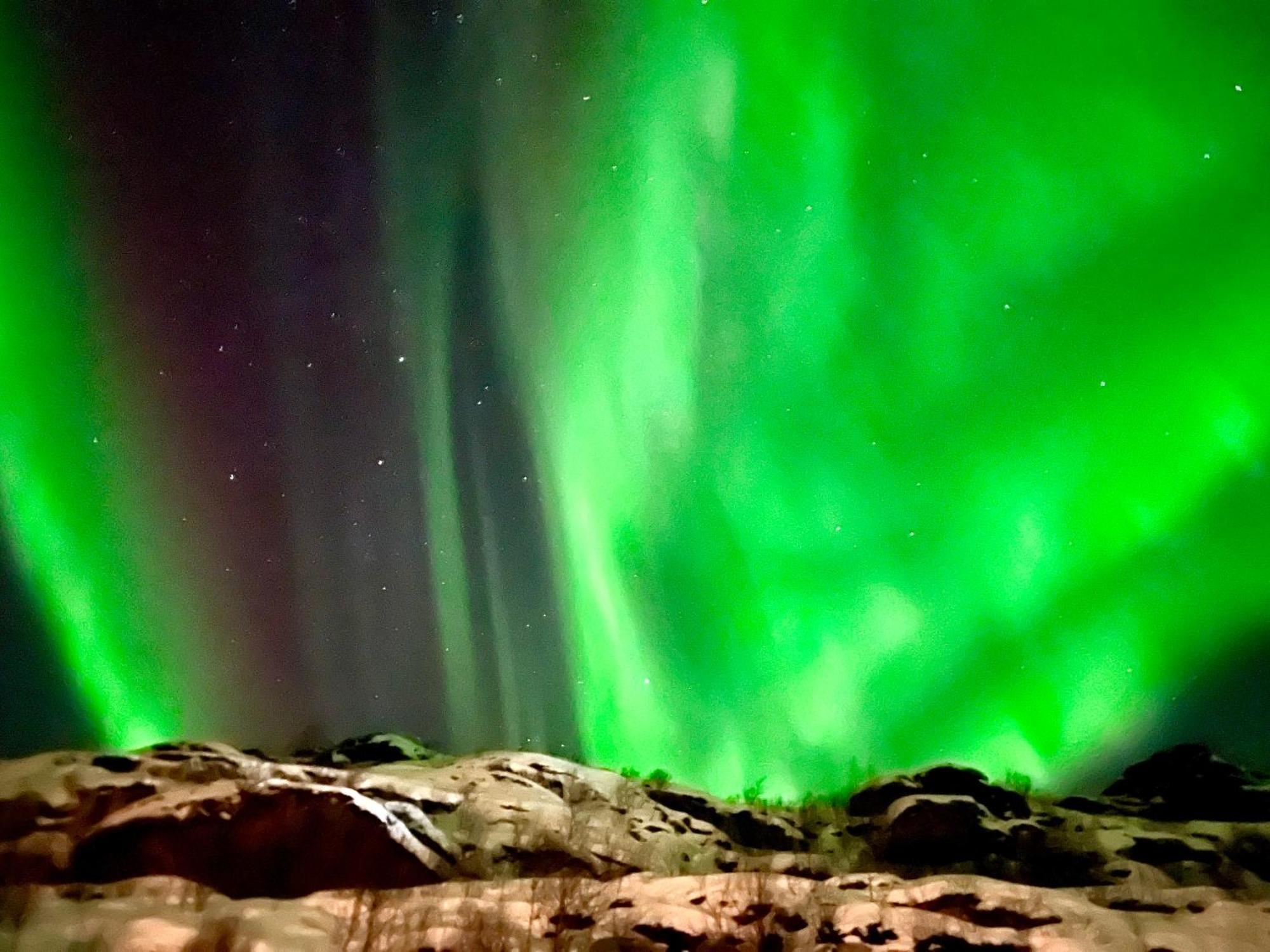 Lofoten Glampingdome Myrland Bagian luar foto