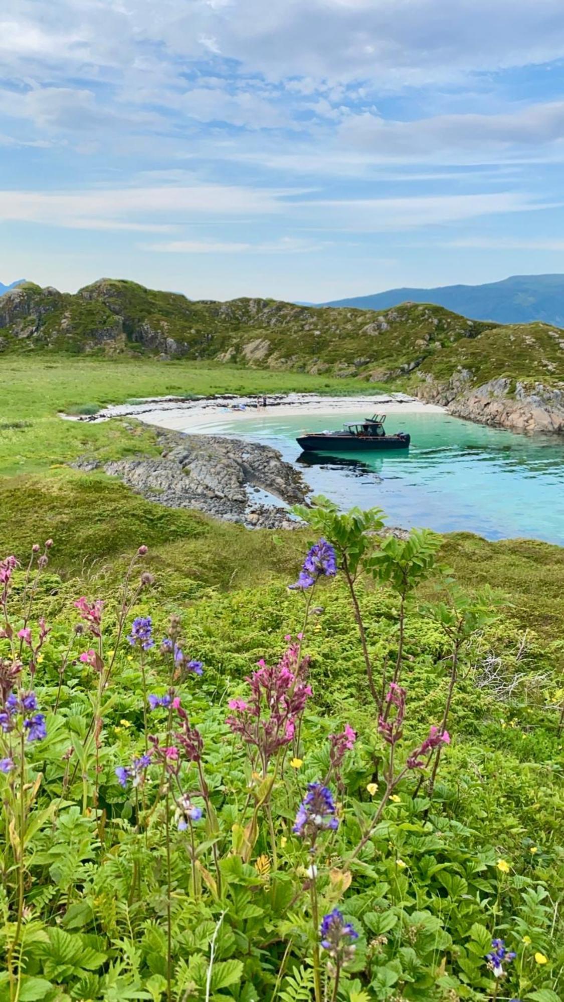 Lofoten Glampingdome Myrland Bagian luar foto
